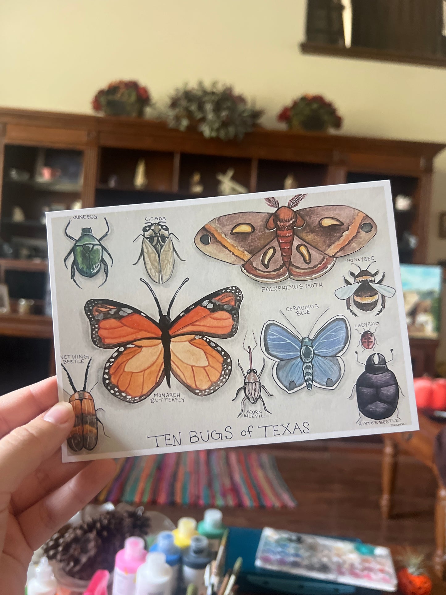 Ten Bugs of Texas Postcard Print