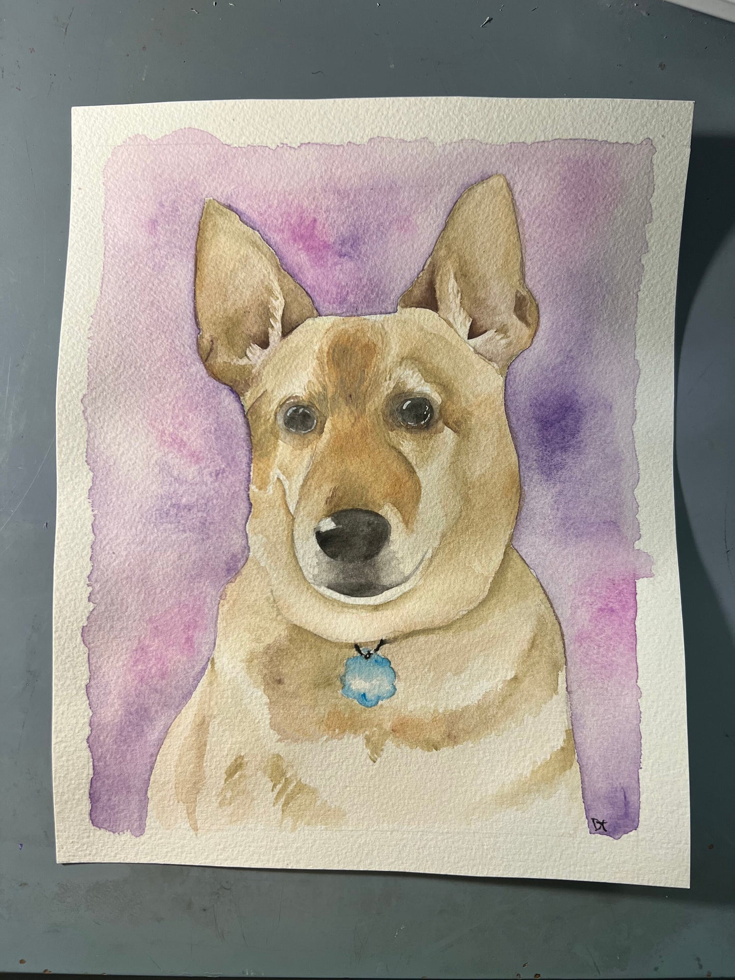 Custom Pet Portrait