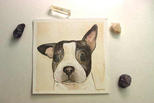 Custom Pet Portrait